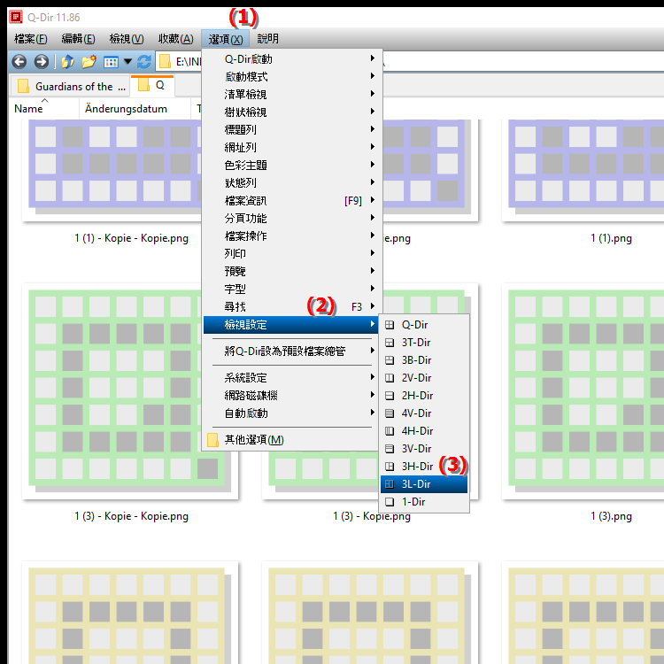 四文件資源管理器中的 3L 目錄視圖提供什麼